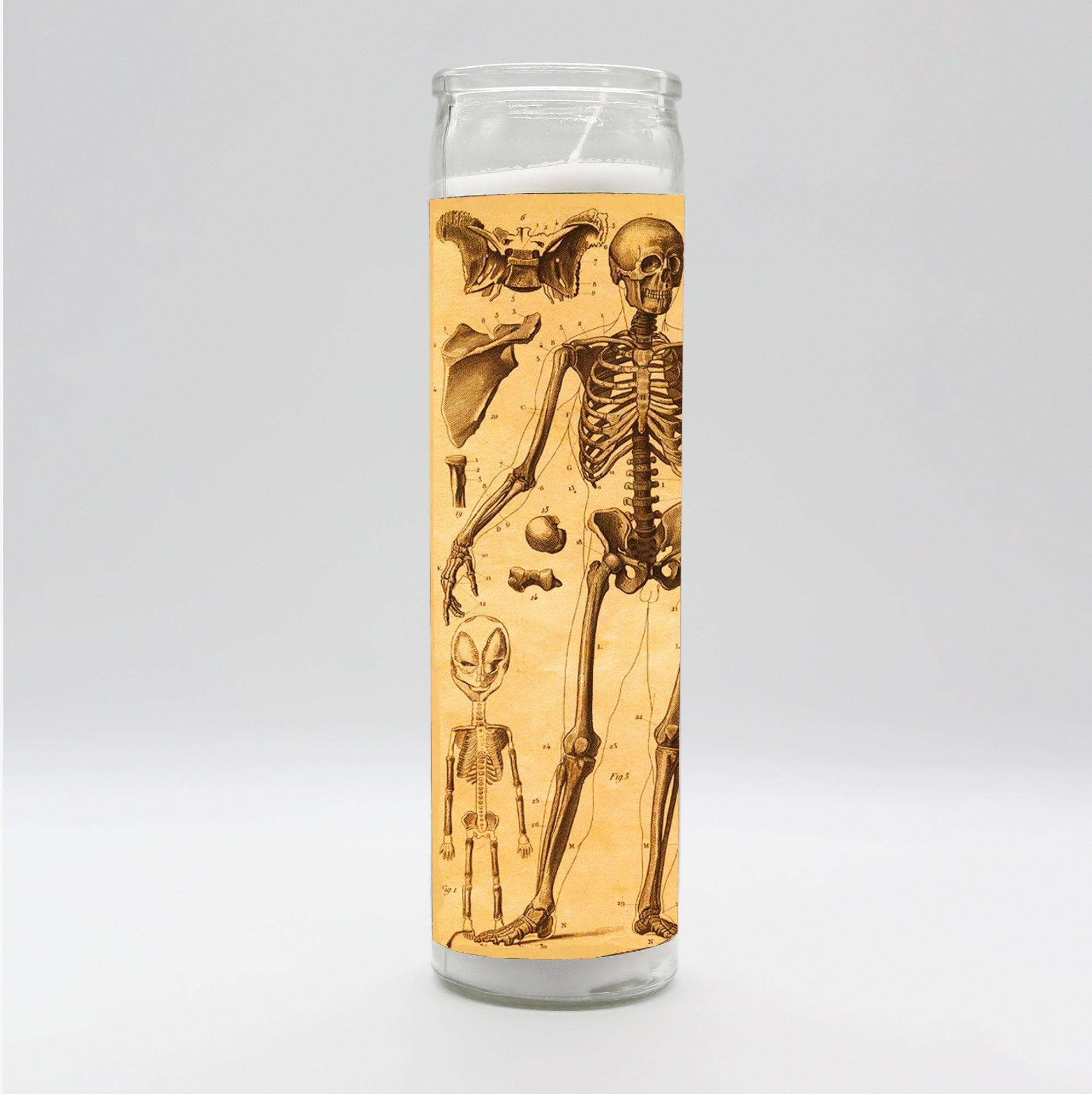 Saint Anatomy Skeleton Candle by BOBBYK
