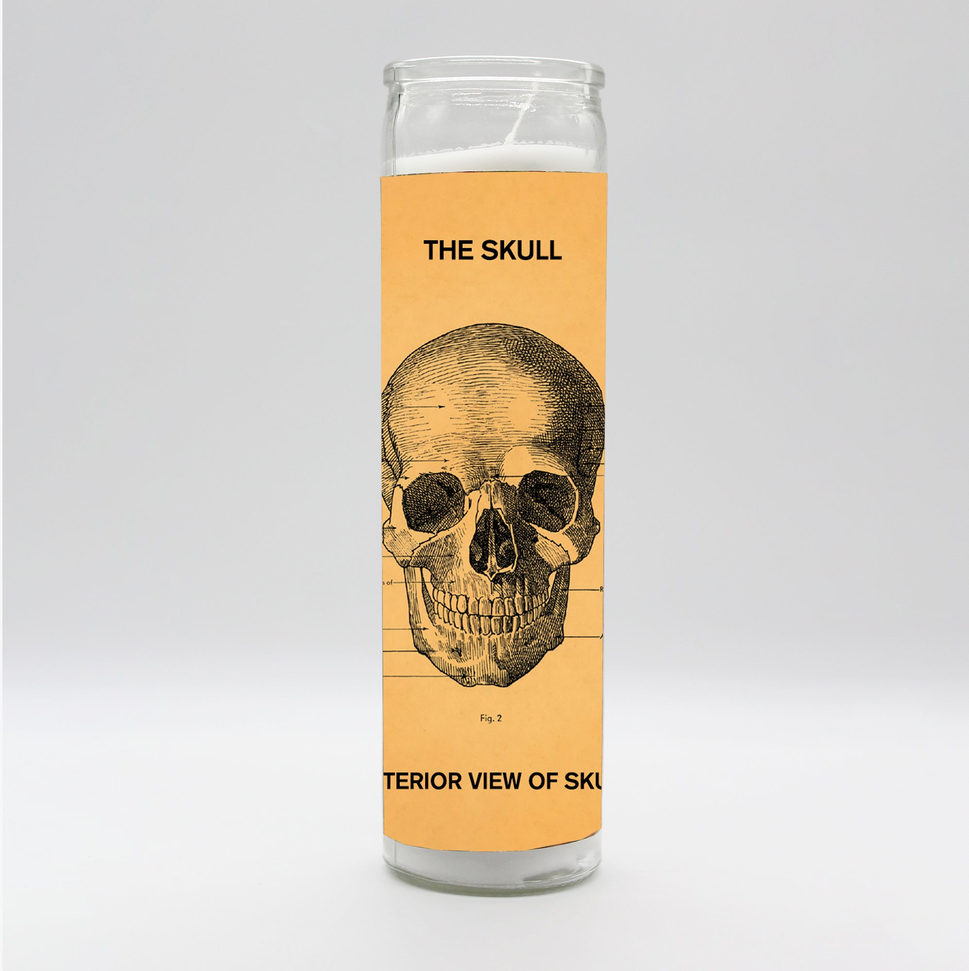 Saint Anatomy Skull Candle by BOBBYK
