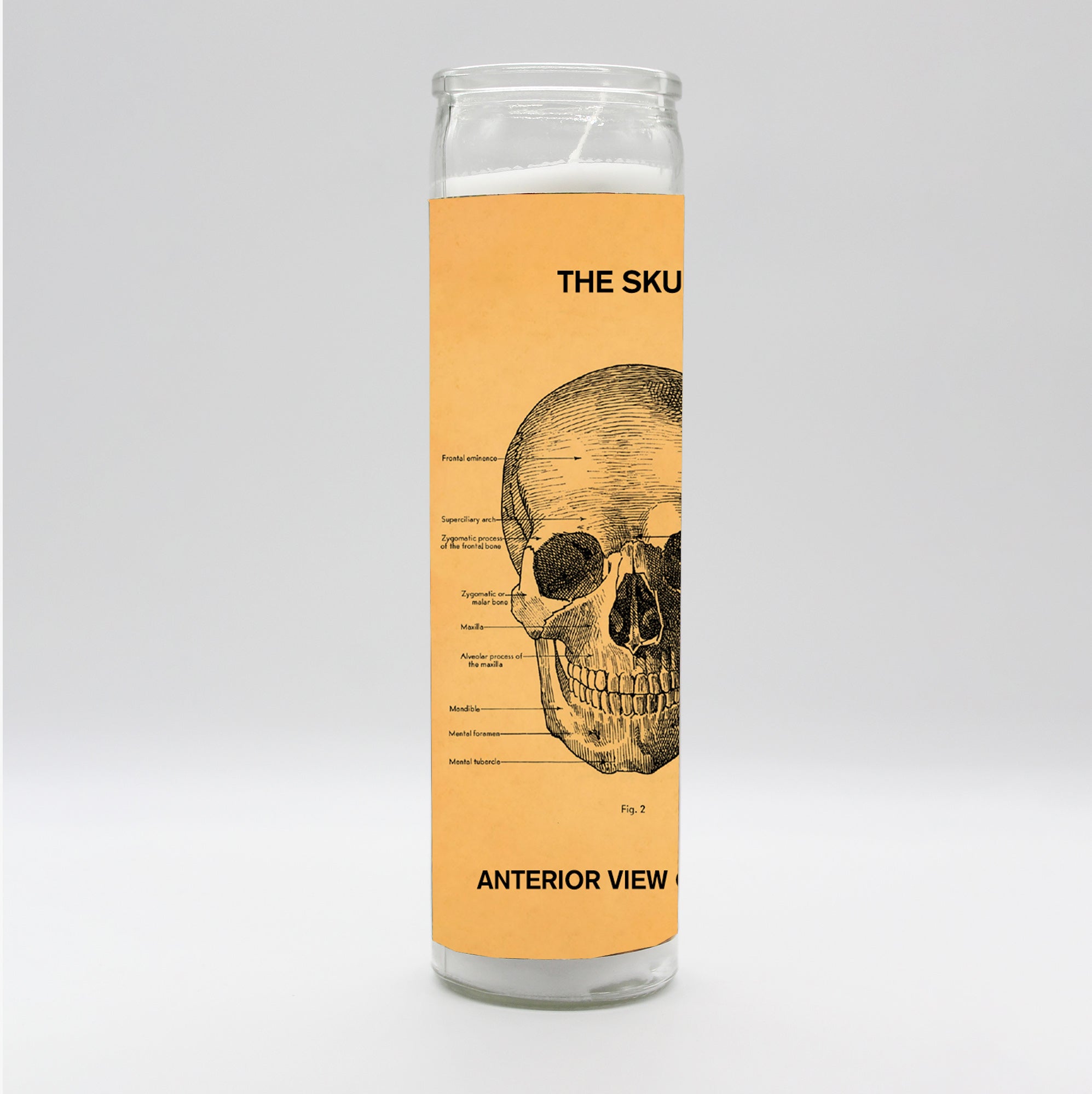 Saint Anatomy Skull Candle by BOBBYK