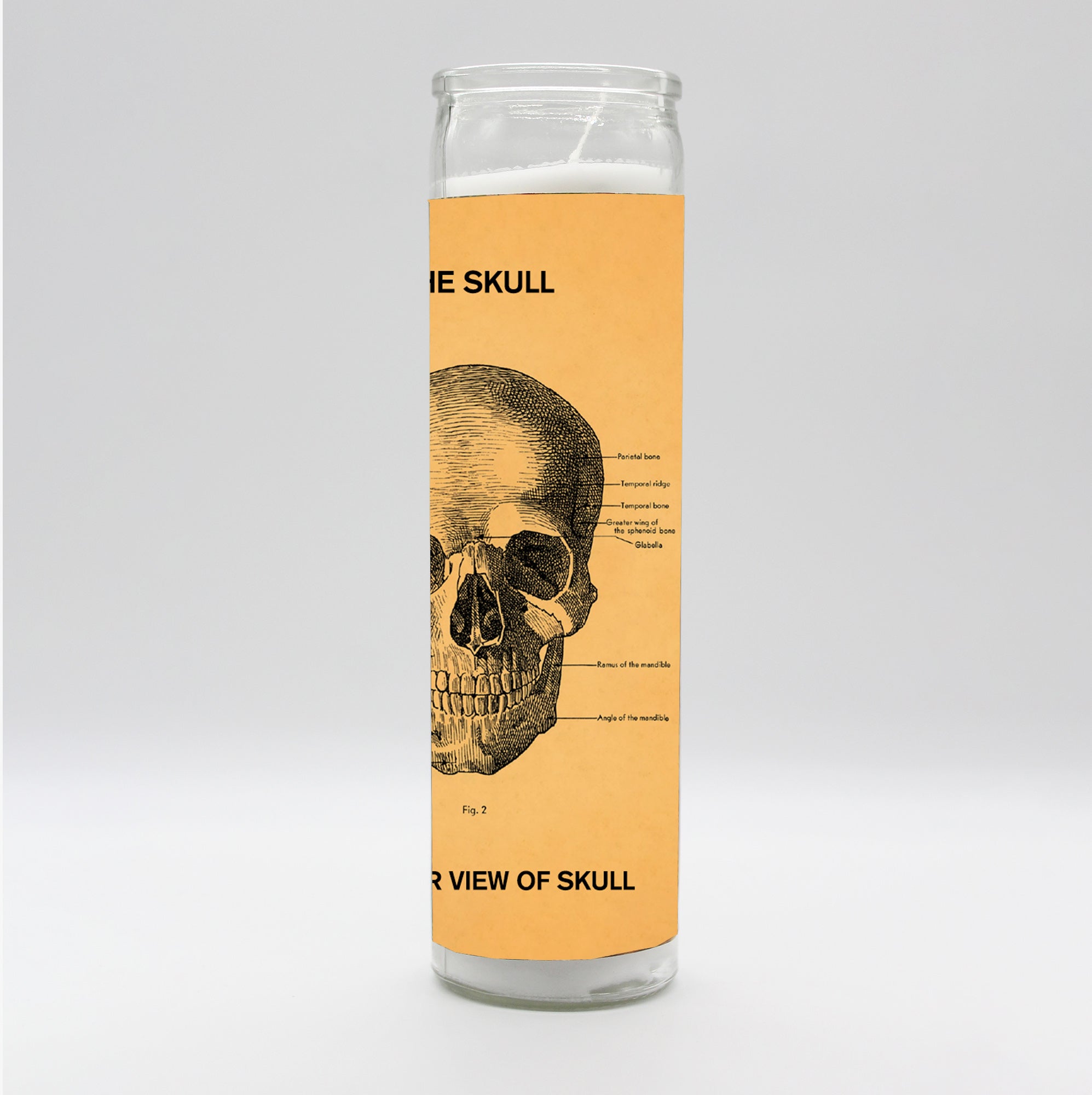 Saint Anatomy Skull Candle by BOBBYK