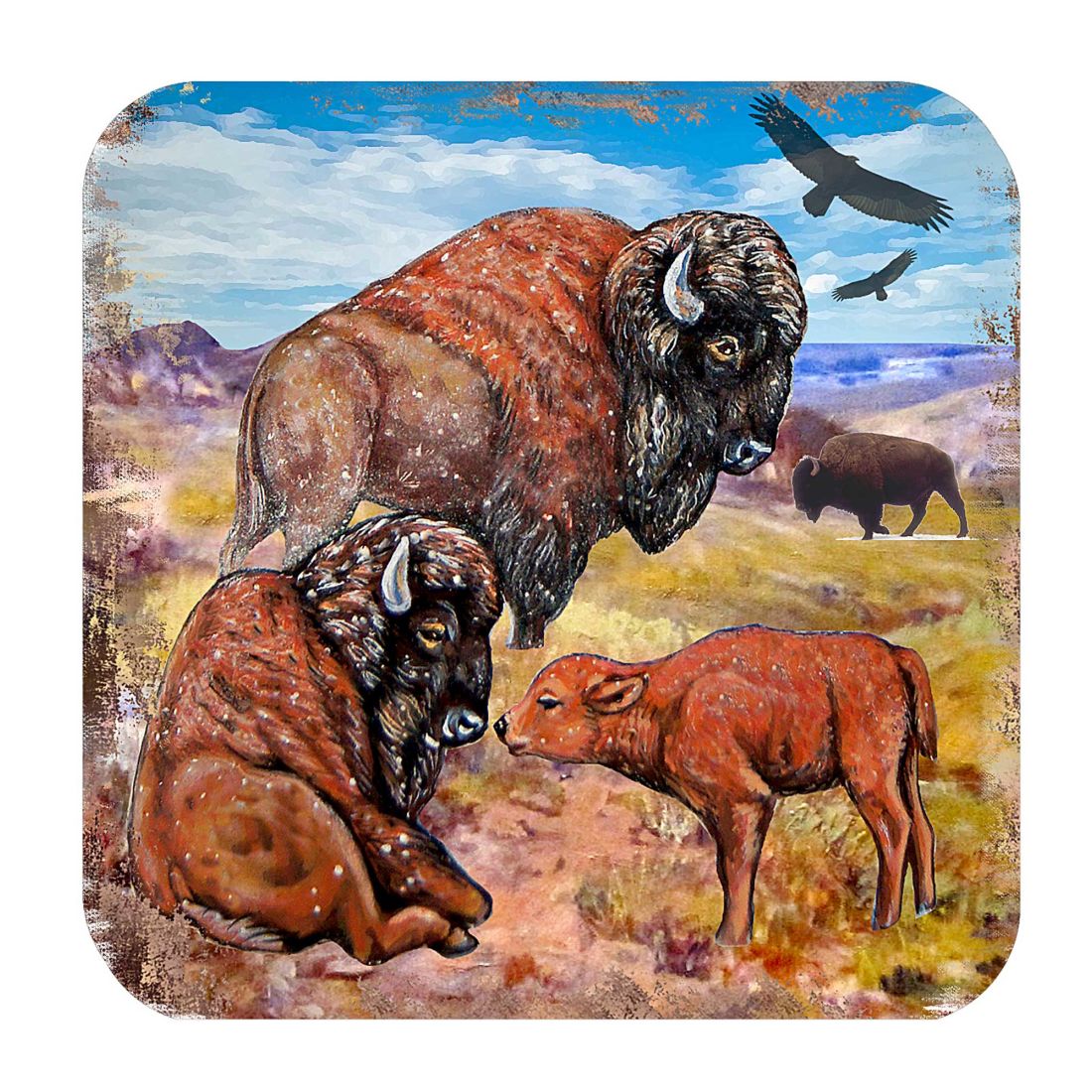 Buffalos Wooden Cork Coasters Gift Set of 4 by Nature Wonders - Nature Wildlife Decor - 95217C-S4
