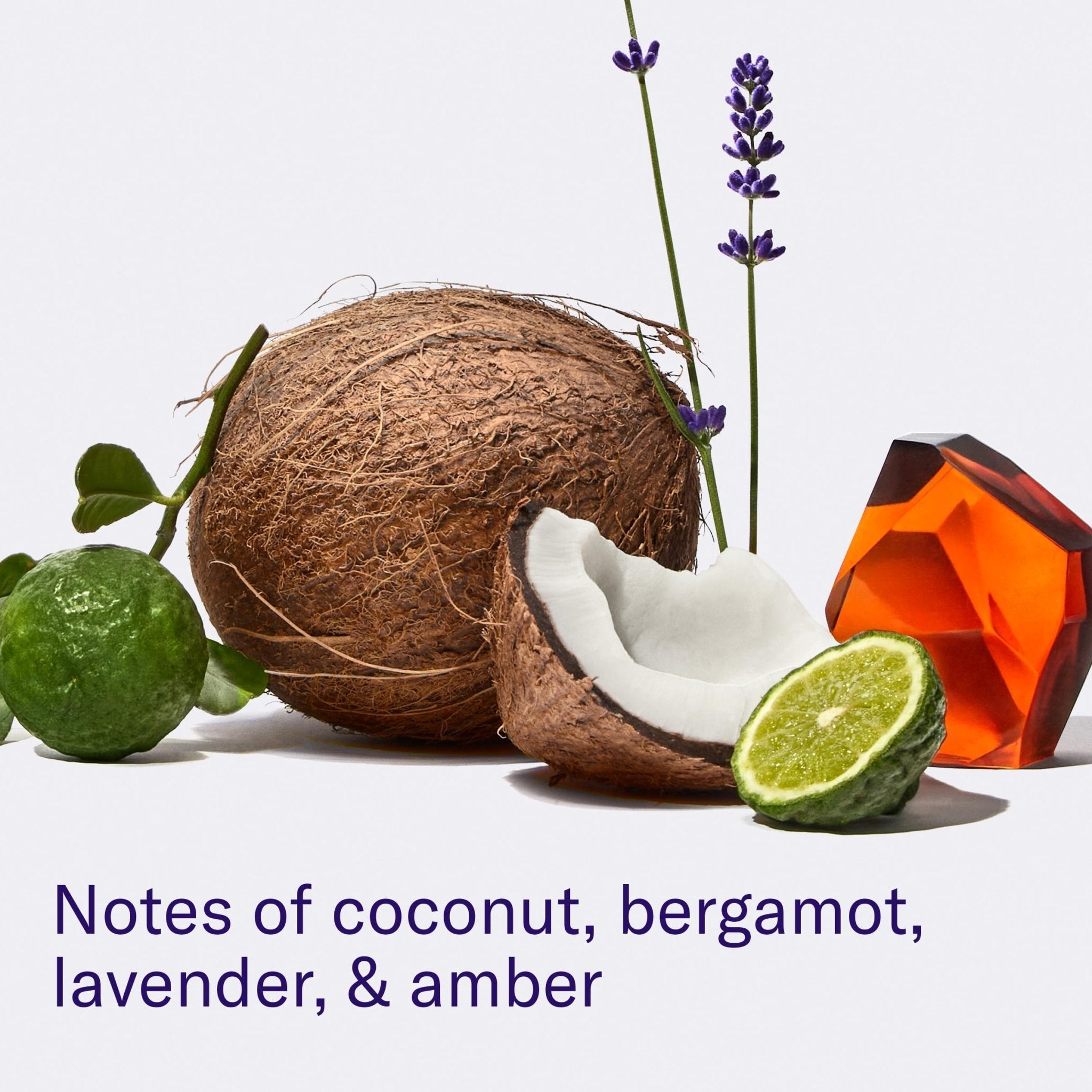 Flamingo Razor Shaving Set for Women - 5-Blade Razor, Nourishing Shave Oil, and Shower Holder - Lilac