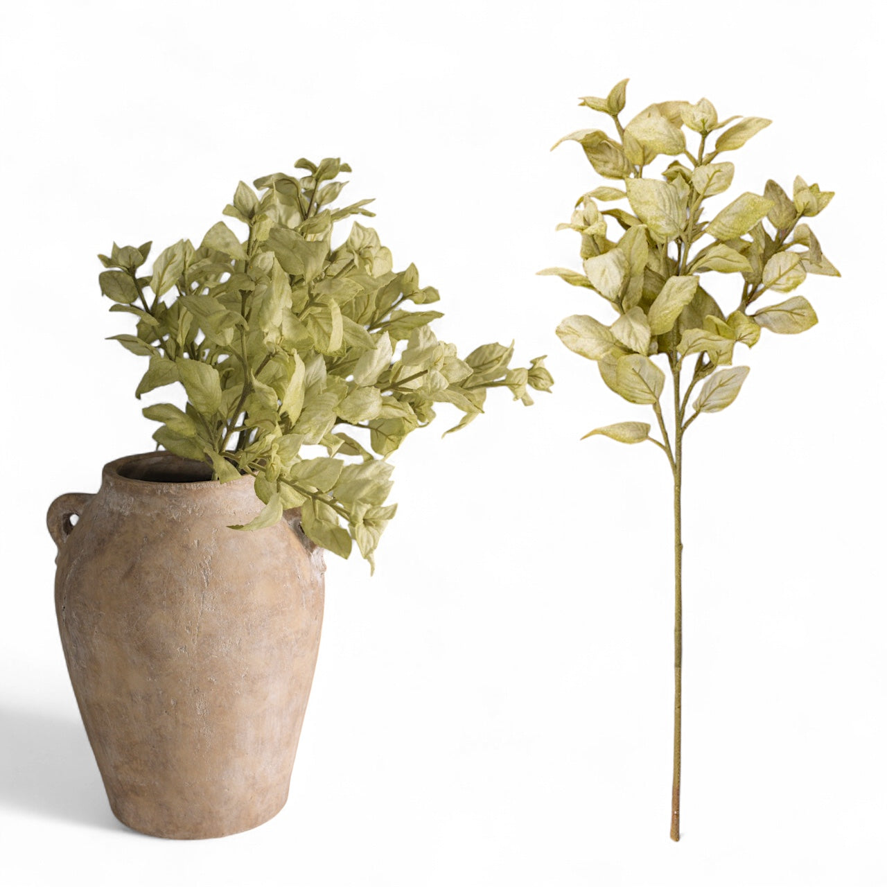 Green Perilla Leaf Spray