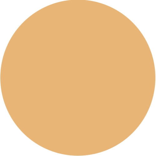 Makeup - Luxury Oil Blotting Pressed Powder