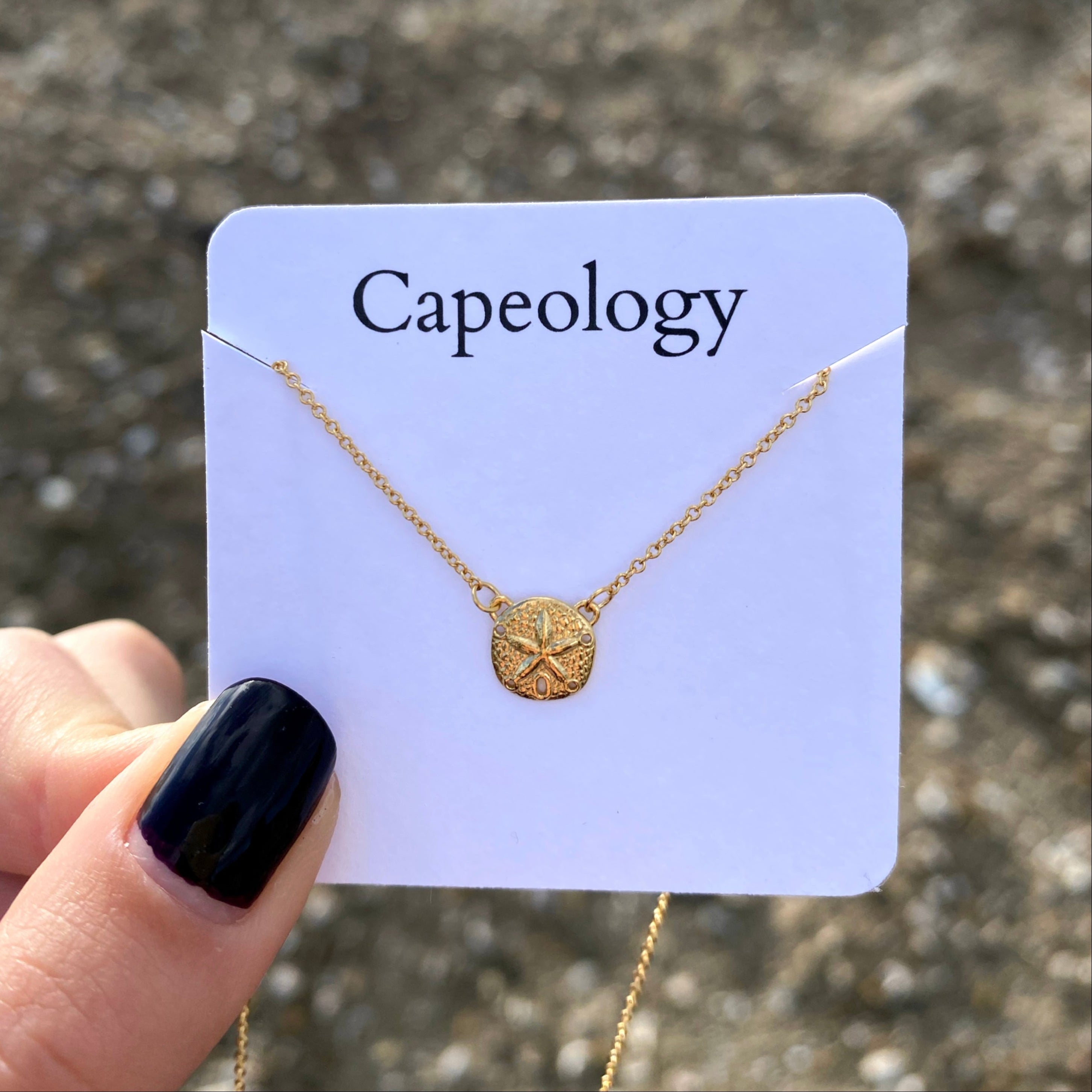 Sand Dollar Necklace