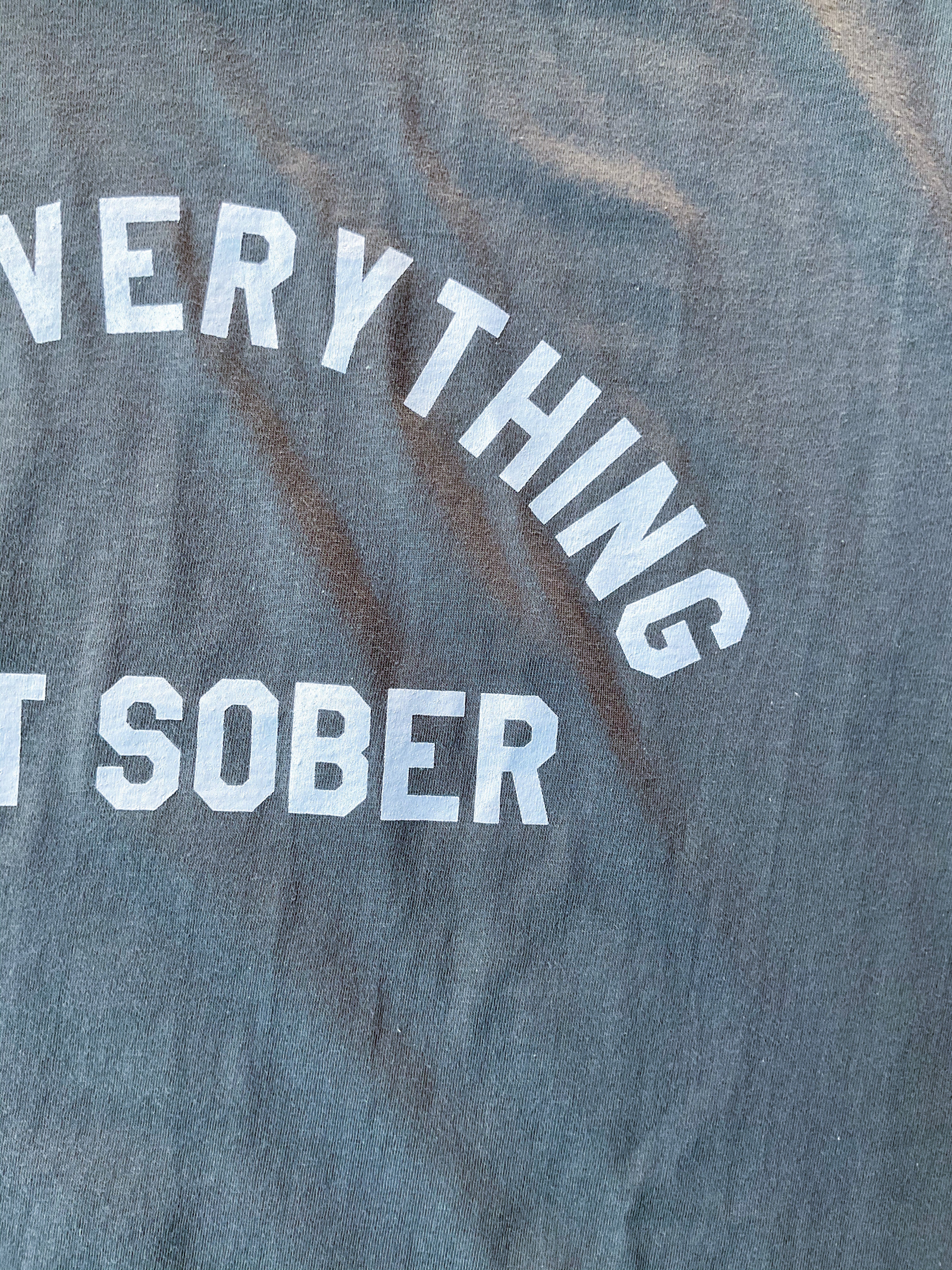 Pro Everything But Sober T-Shirt by BOBBYK