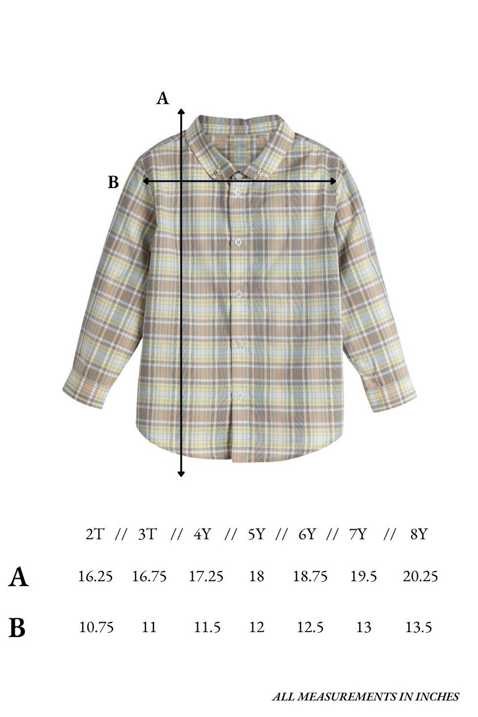 Grayson Shirt in Lemon Sky Check