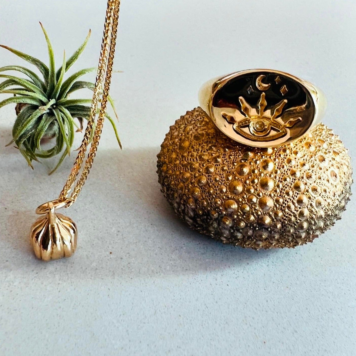 Down To Earth //  Garlic