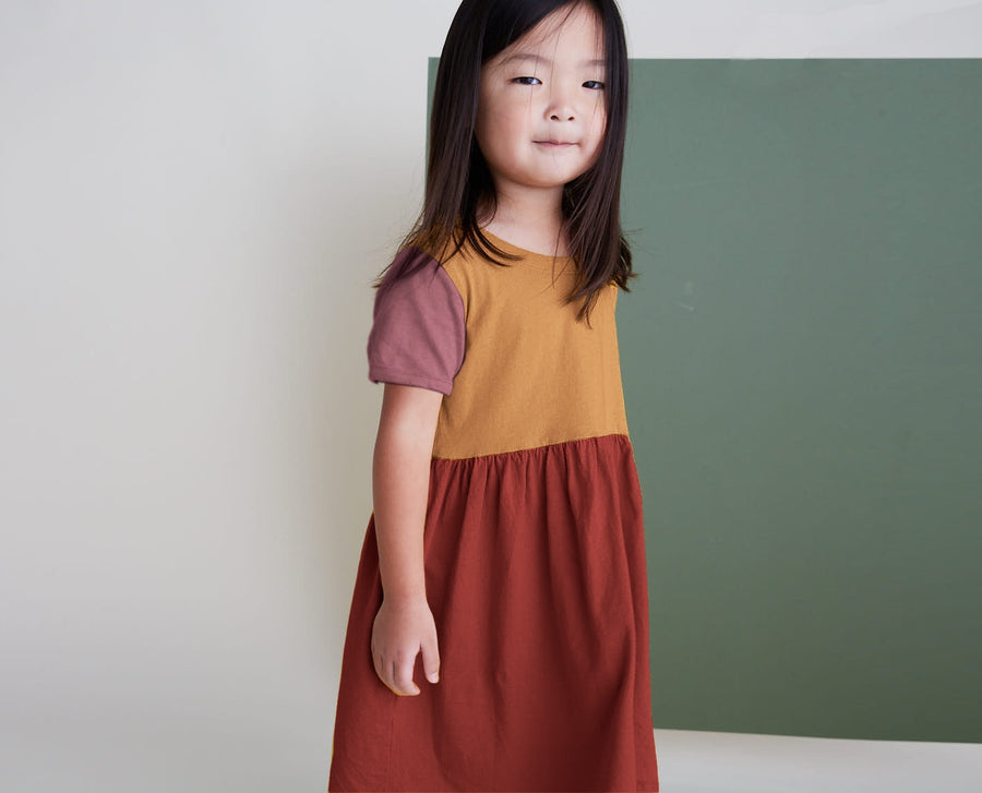 Organic Cotton Color Block Dress - brambleberry