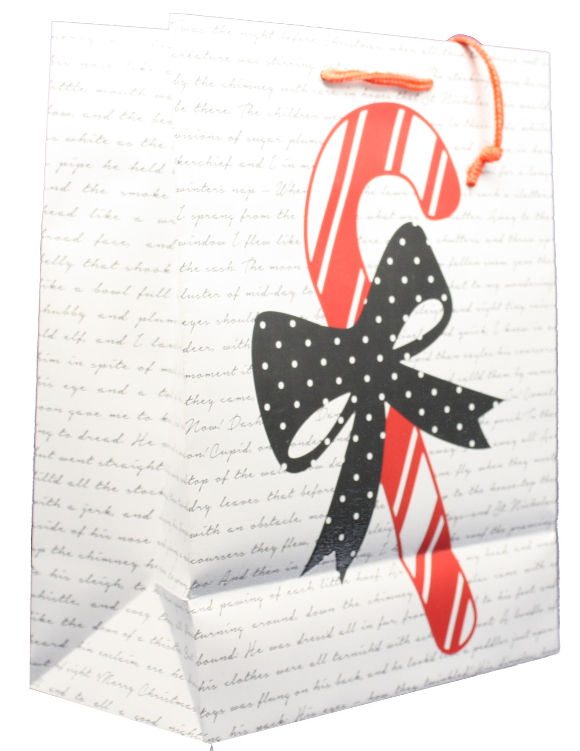 Large Gift Bag With Tissue - North Pole