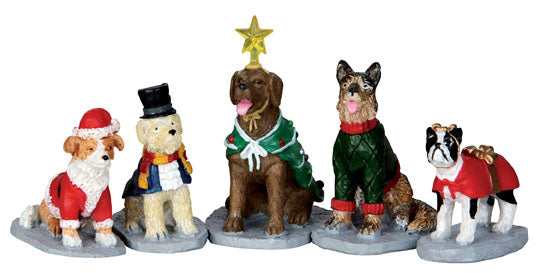 Costumed Canines - 5 Piece Set