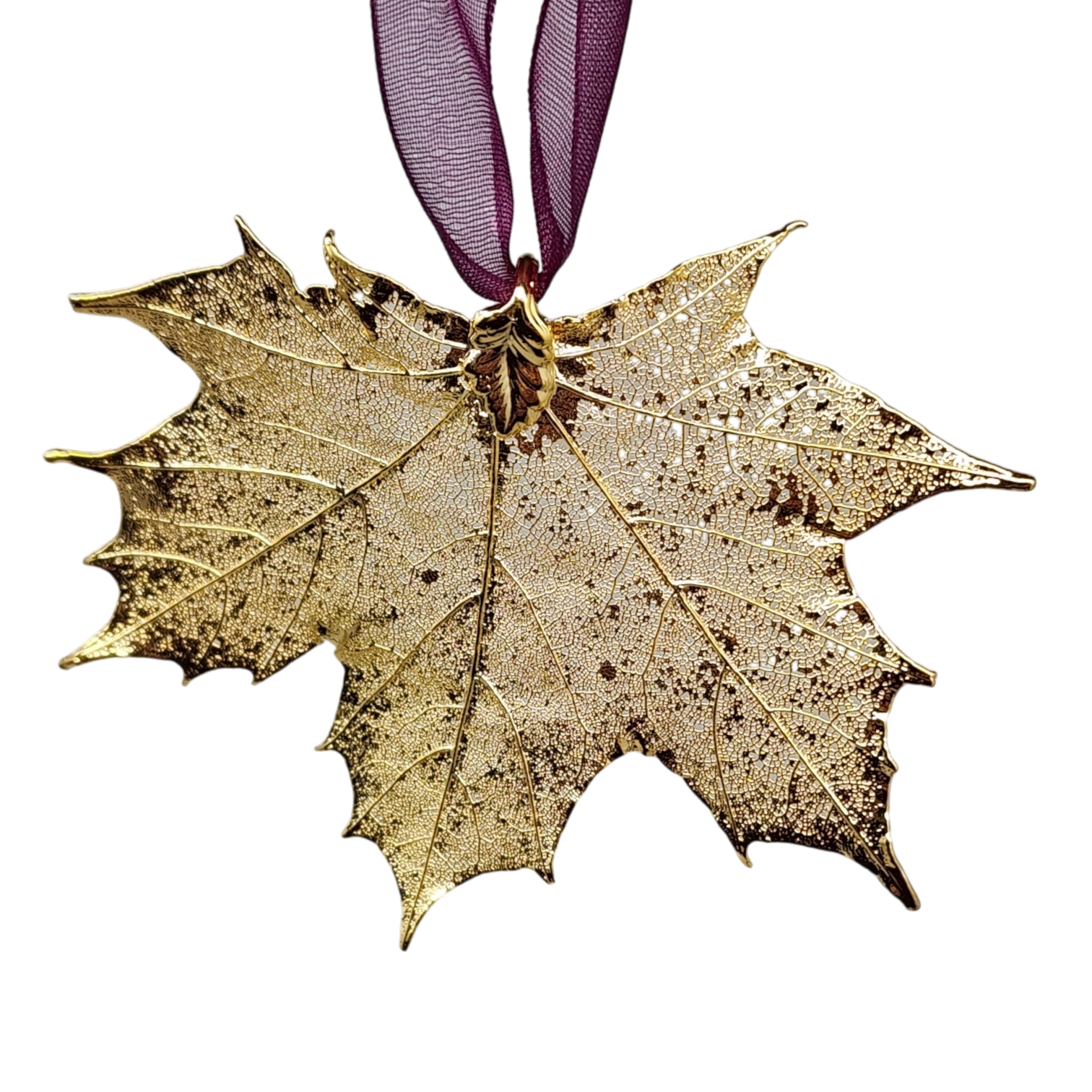 Gold Sugar Maple Leaf with Sheer Ribbon Ornament