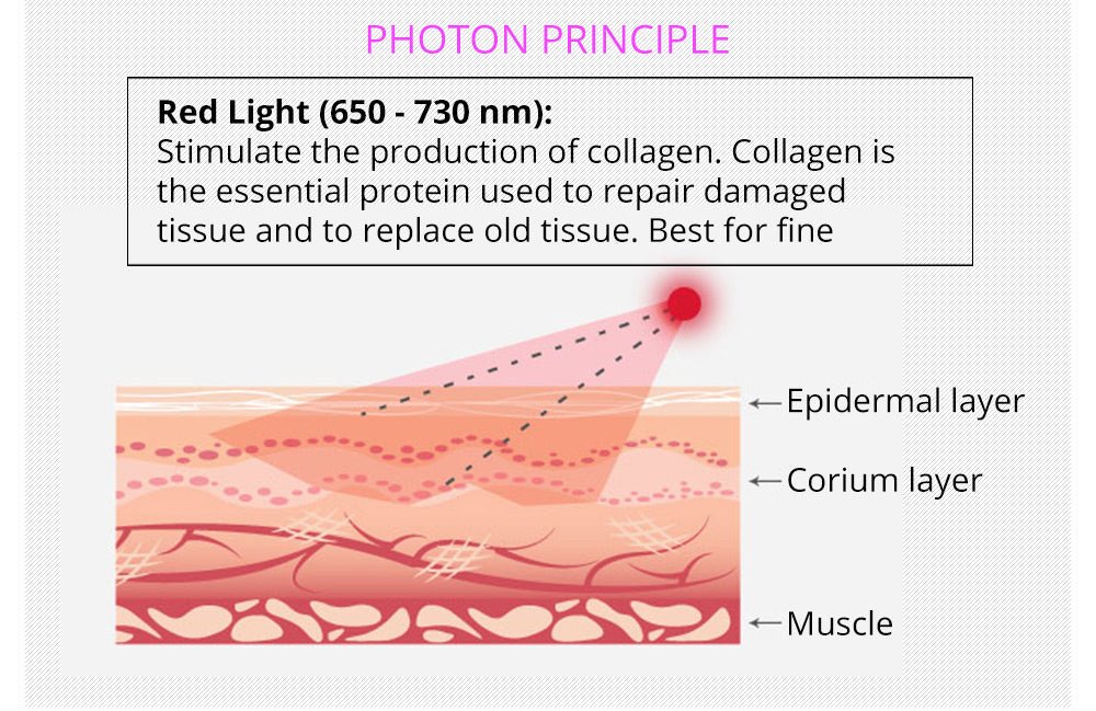 Shape Tactics 5-in-1 RF Cavitation Body Contouring System
