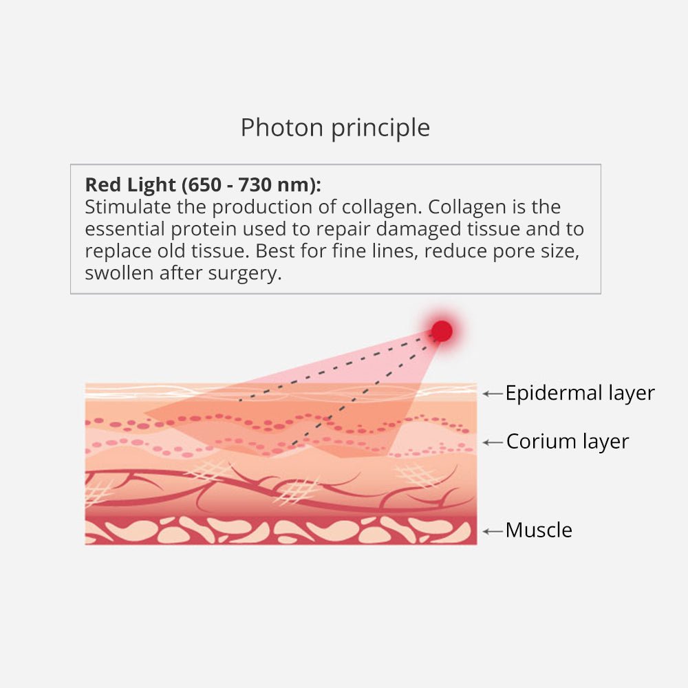 Shape Tactics 5-in-1 Cavitation RF Vacuum Body Contouring System