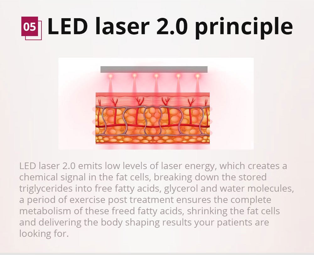 Shape Tactics 6-in-1 Cavitation Lipo Laser Photon RF System
