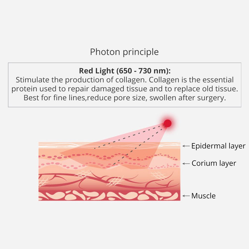 Shape Tactics Portable 5-in-1 Cavitation RF Vacuum Contouring System