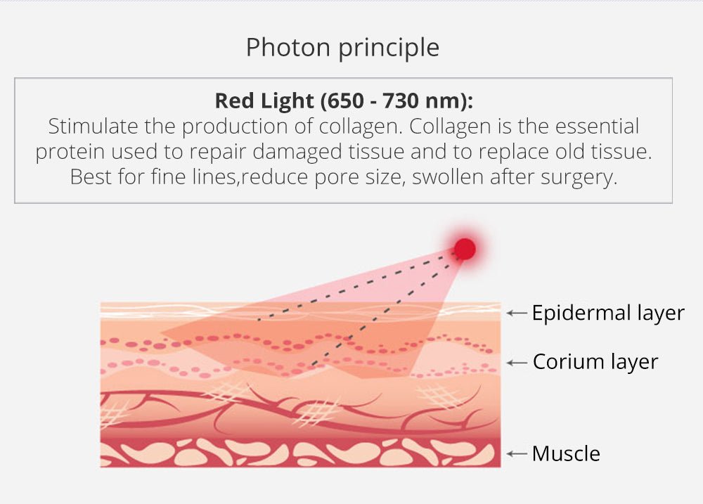 Shape Tactics Portable 6-in-1 Cavitation RF Vacuum Lipo Laser System