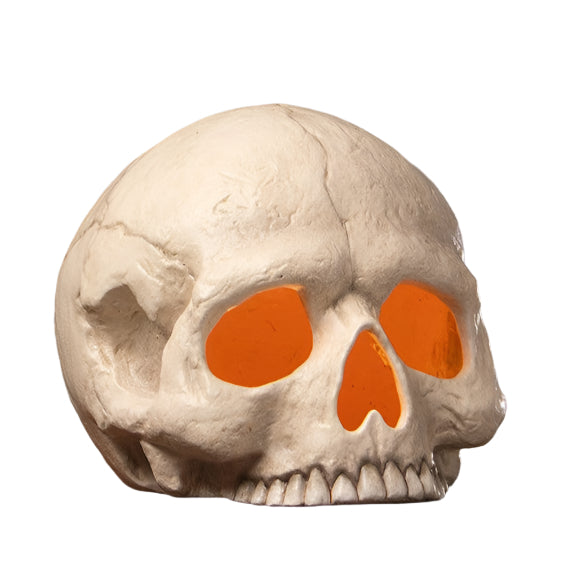 Skull Votive by Bethany Lowe Designs
