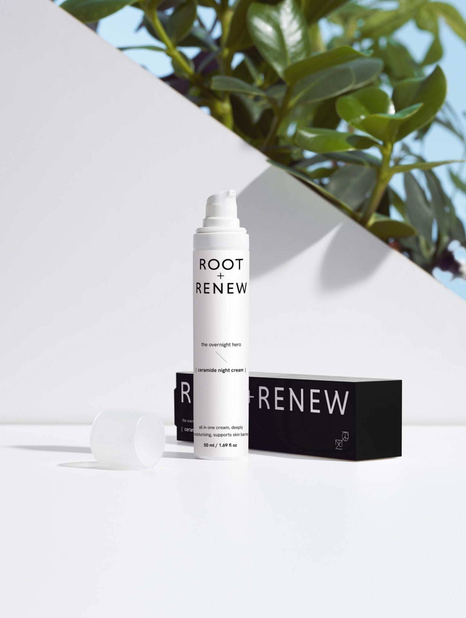 The Overnight Hero — Hydrating Night Cream