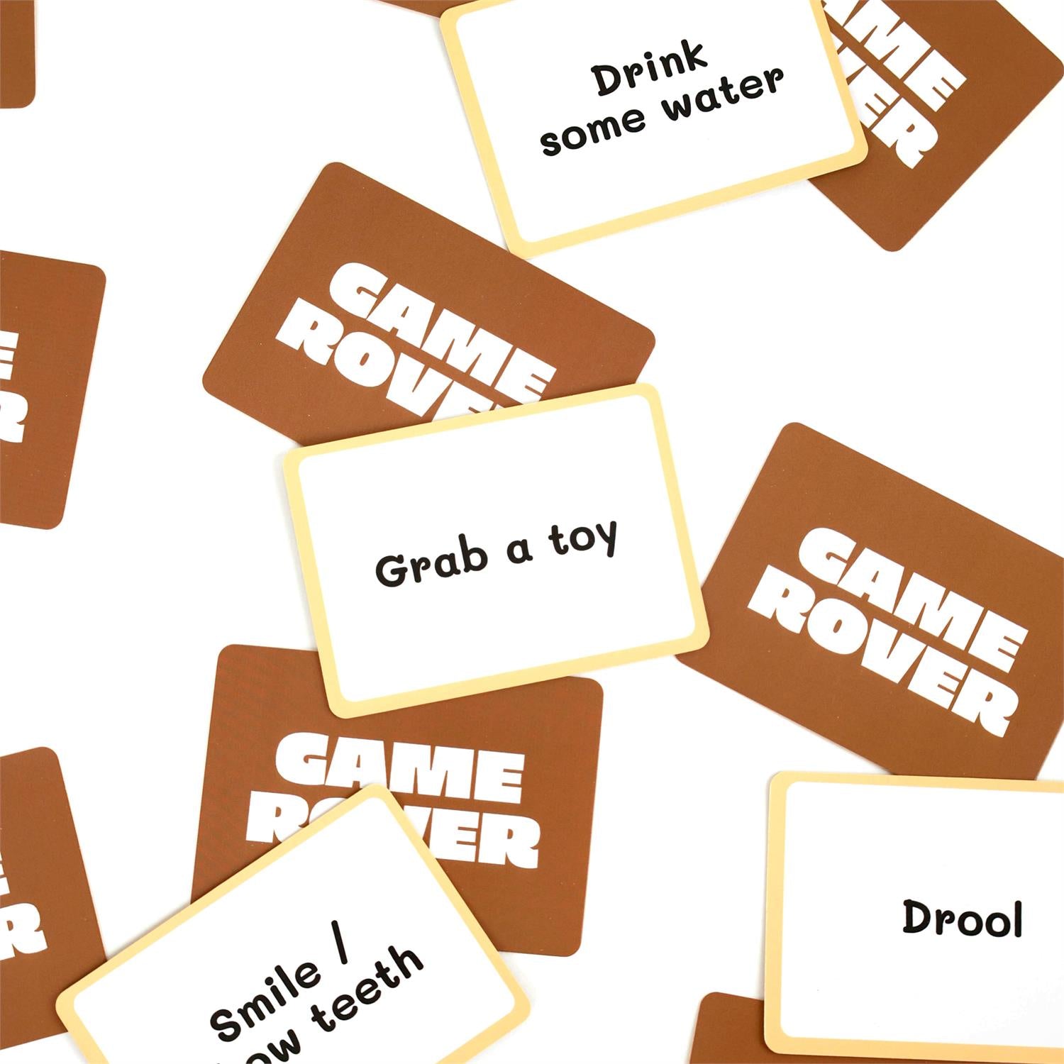 Game Rover - A Game You Play With Your Dog