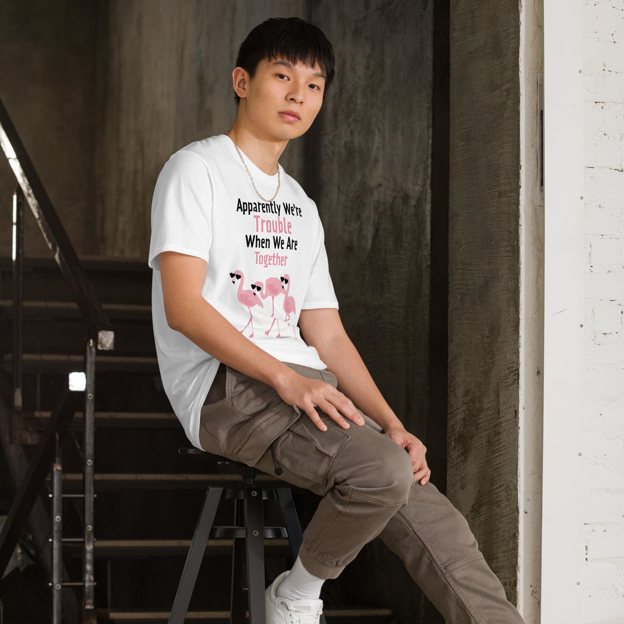 Apparently We're Trouble Flamingo T-Shirt