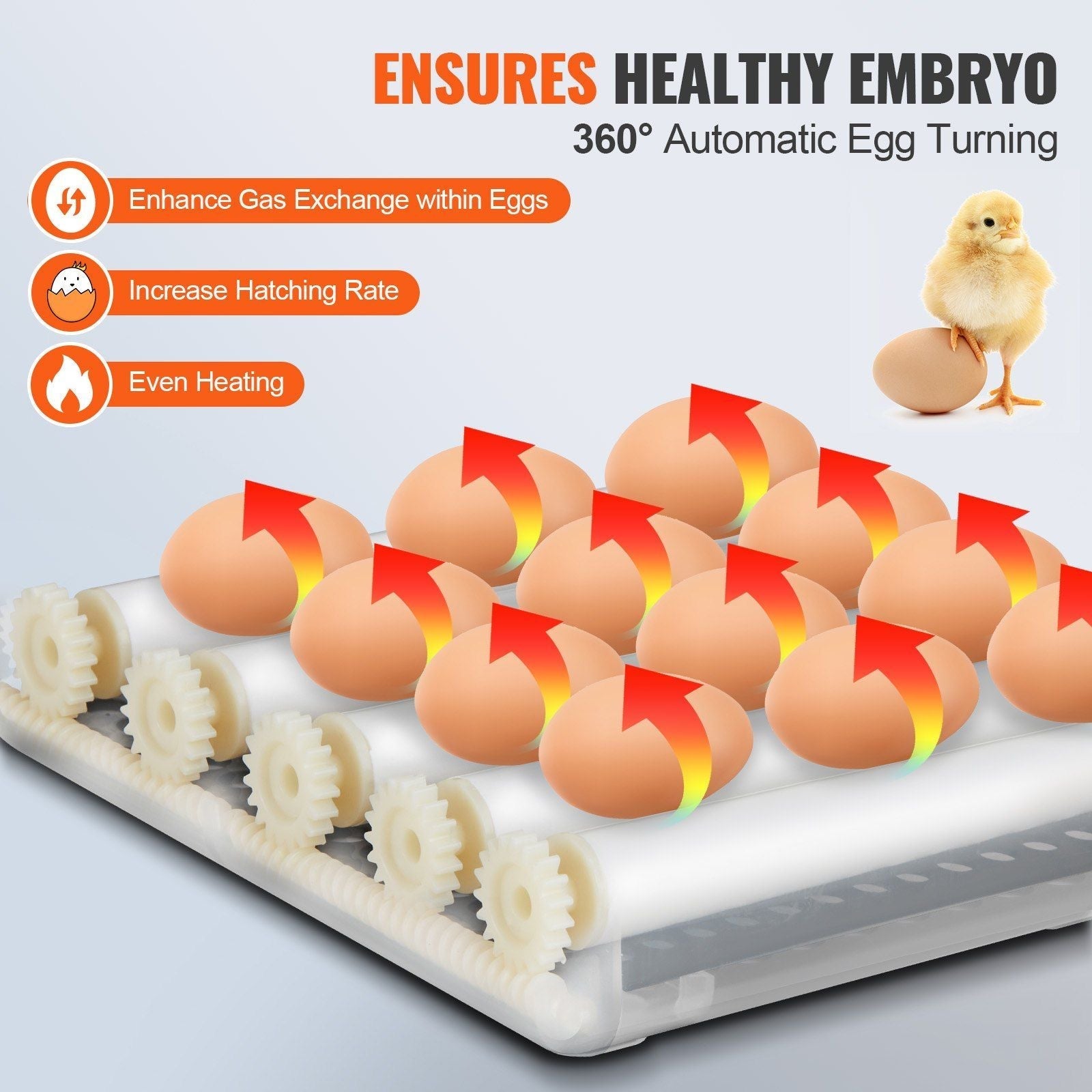 VEVOR Egg Incubator, Incubators for Hatching Eggs, Automatic Egg Turner with with Temperature and Humidity Control, 12 Eggs Poultry Hatcher with ABS Transparent Shell for Chicken, Duck, Quail
