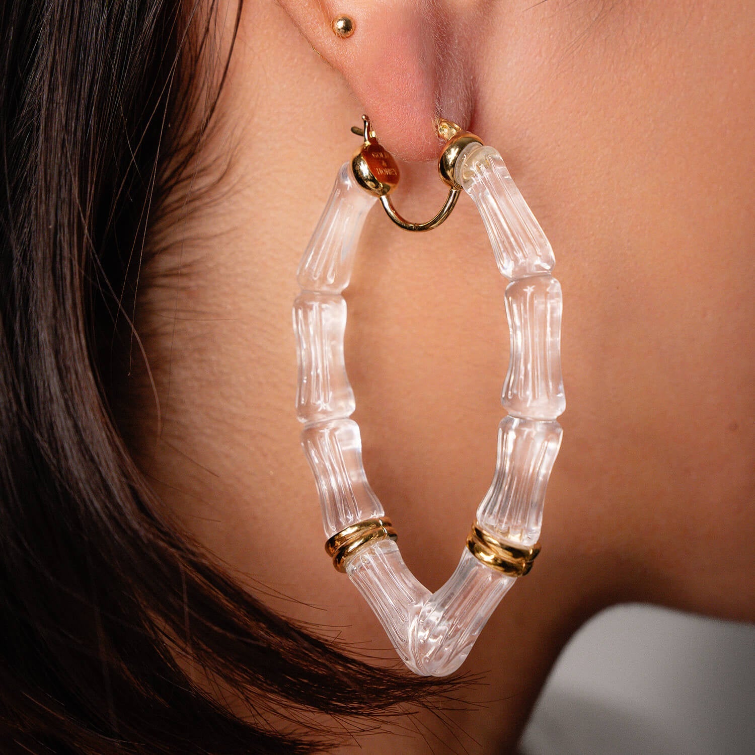 Vivienne Bamboo Lucite Hoop Earrings