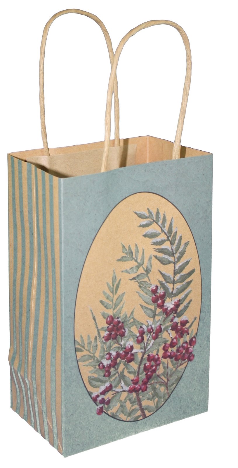 Kraft Gift Bag - Snowman Cub