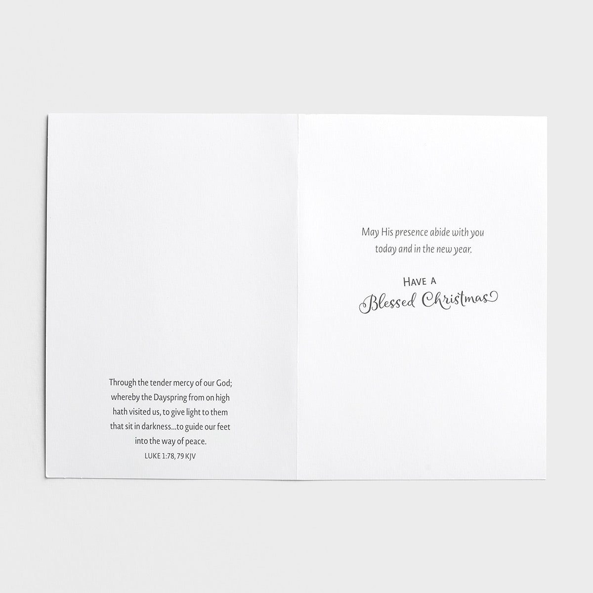 Snowman Gazer and Friends - 18 Christmas Boxed Cards