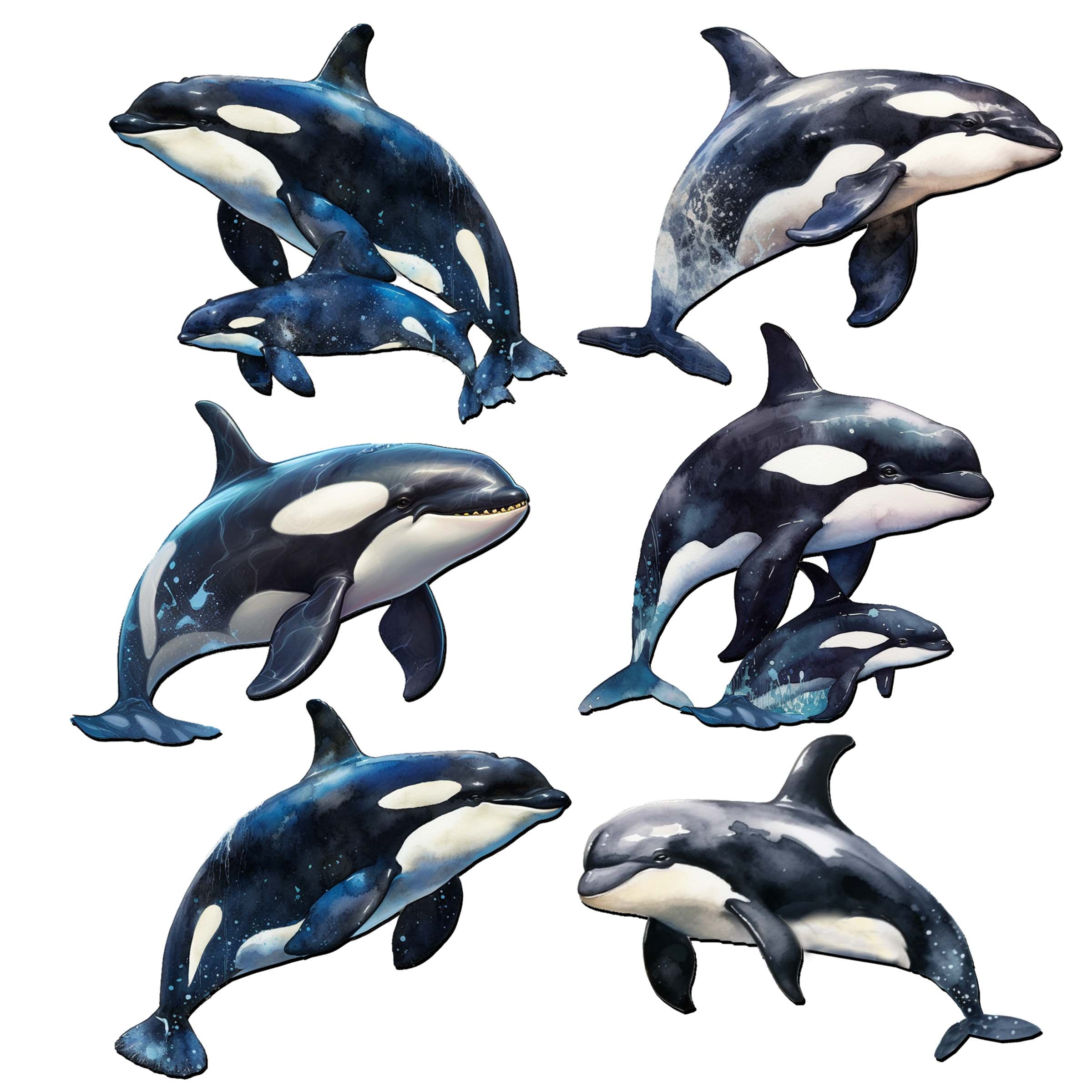 Majestic Orcas Decorative Wooden Magnets Set of 6 by G. Debrekht - Wildlife Coastal Decor - 8090102G-S6