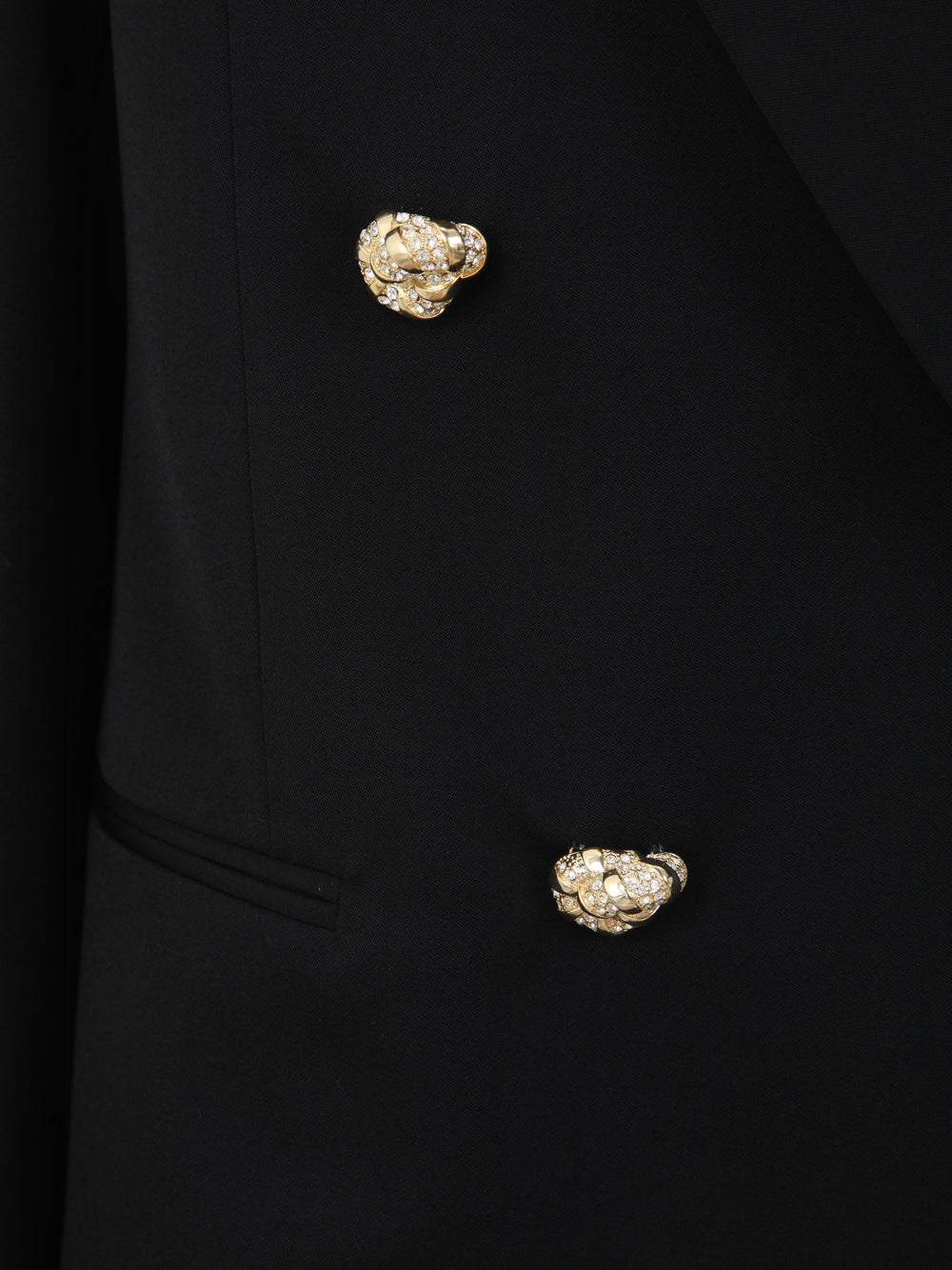 Lanvin Women Double Breasted Tailored Jacket