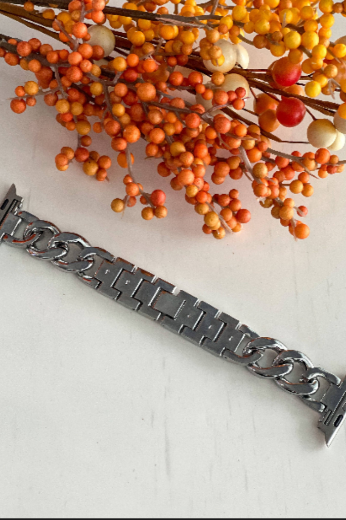 "Stunning Stella" Silver Stainless Apple Watch Band