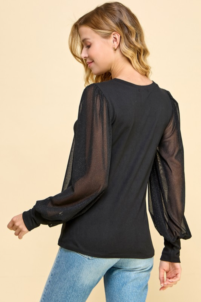 Shiny Sheer Sleeve Top