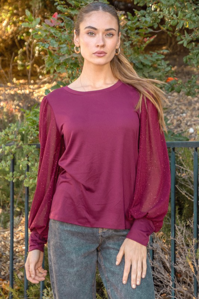 Shiny Sheer Sleeve Top
