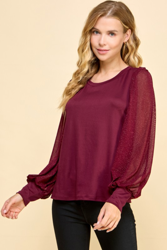 Shiny Sheer Sleeve Top