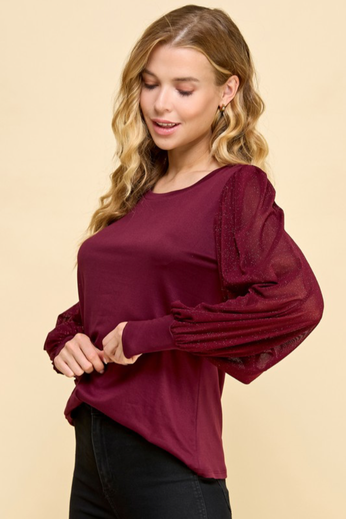 Shiny Sheer Sleeve Top