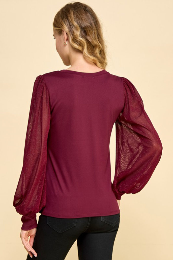 Shiny Sheer Sleeve Top