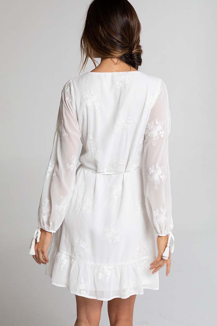 Sheer Chiffon Long Sleeve Wrap Dress