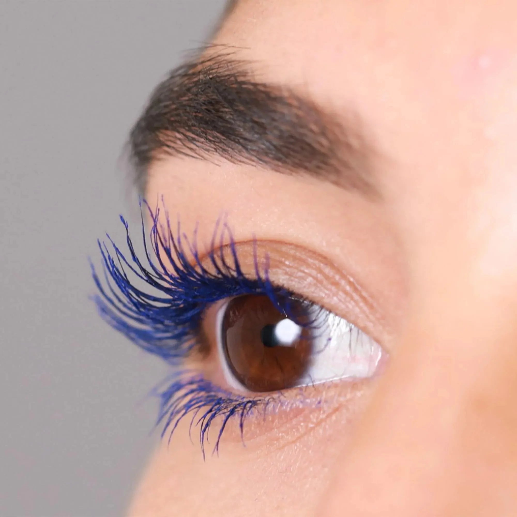 deluxe lash curl kit