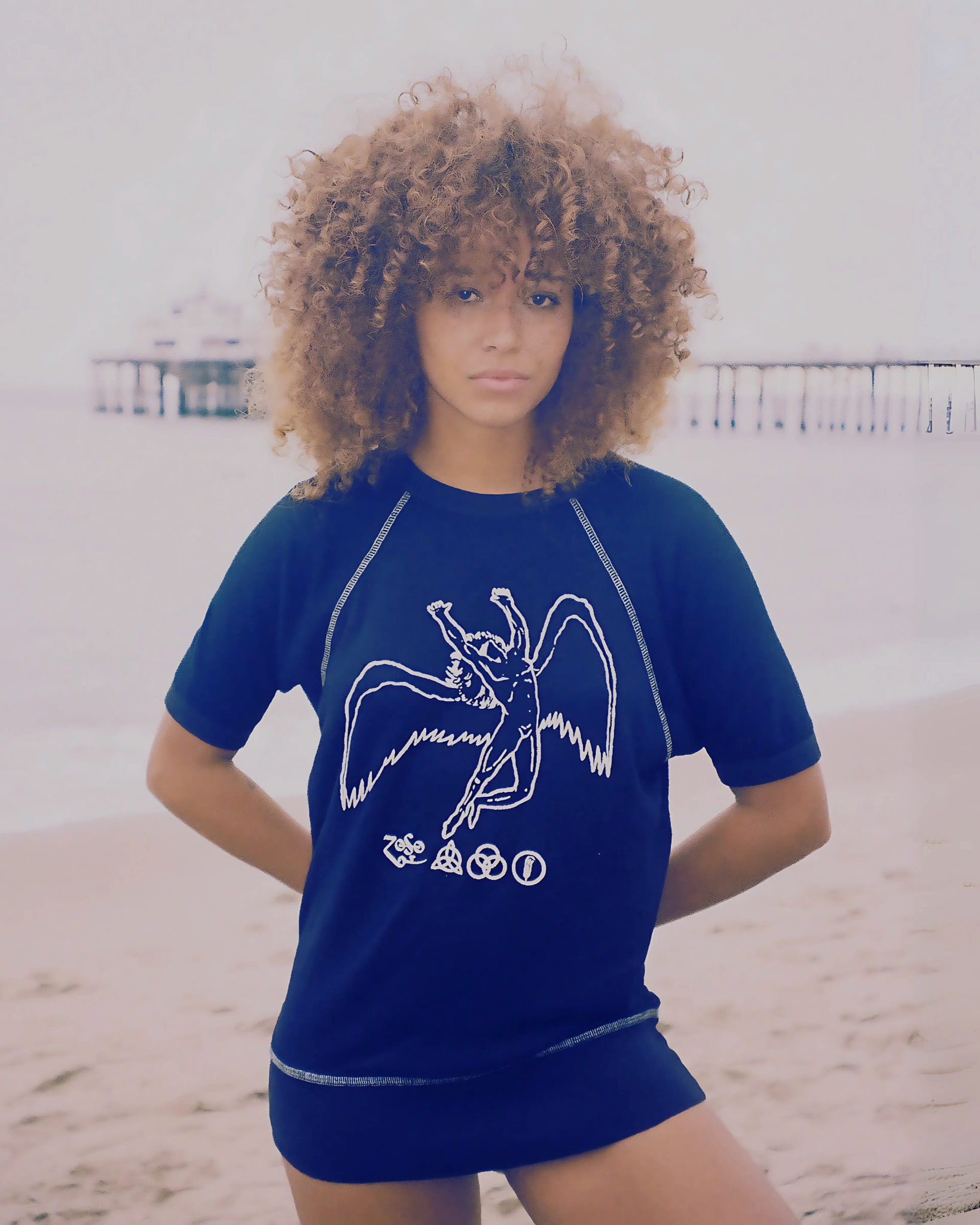 Led Zeppelin Short Sleeve Icarus Raglan by People of Leisure