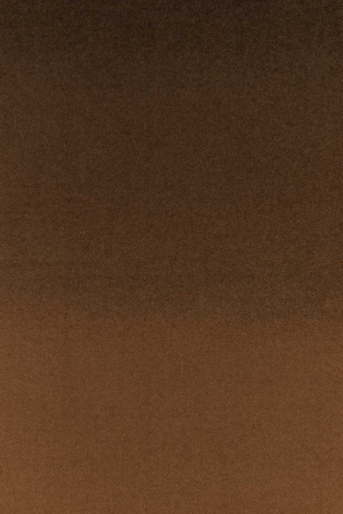 Salvatore Ferragamo Women Brown Cashmere Scarf