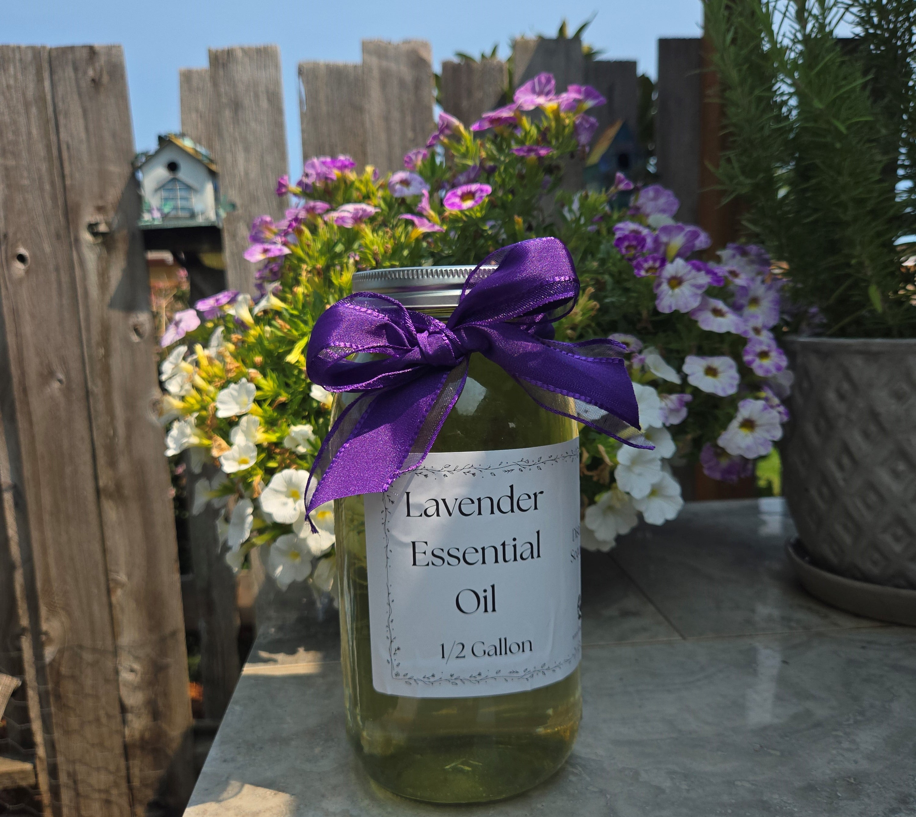 Lavender Essential Oil – 1/2 Gallon, Locally Sourced in WA