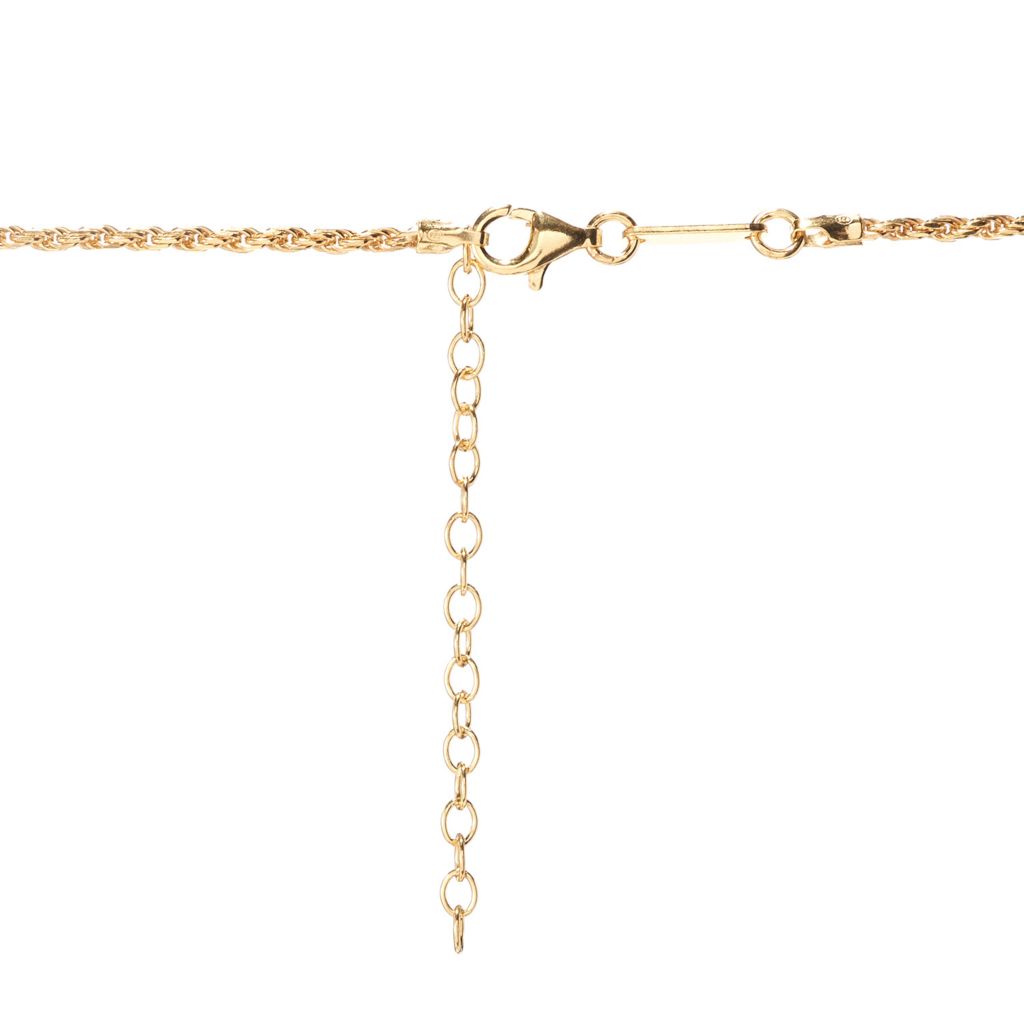 Cameo Italiano 18K Gold Plated "Elements" Rope Chain Necklace by Steals