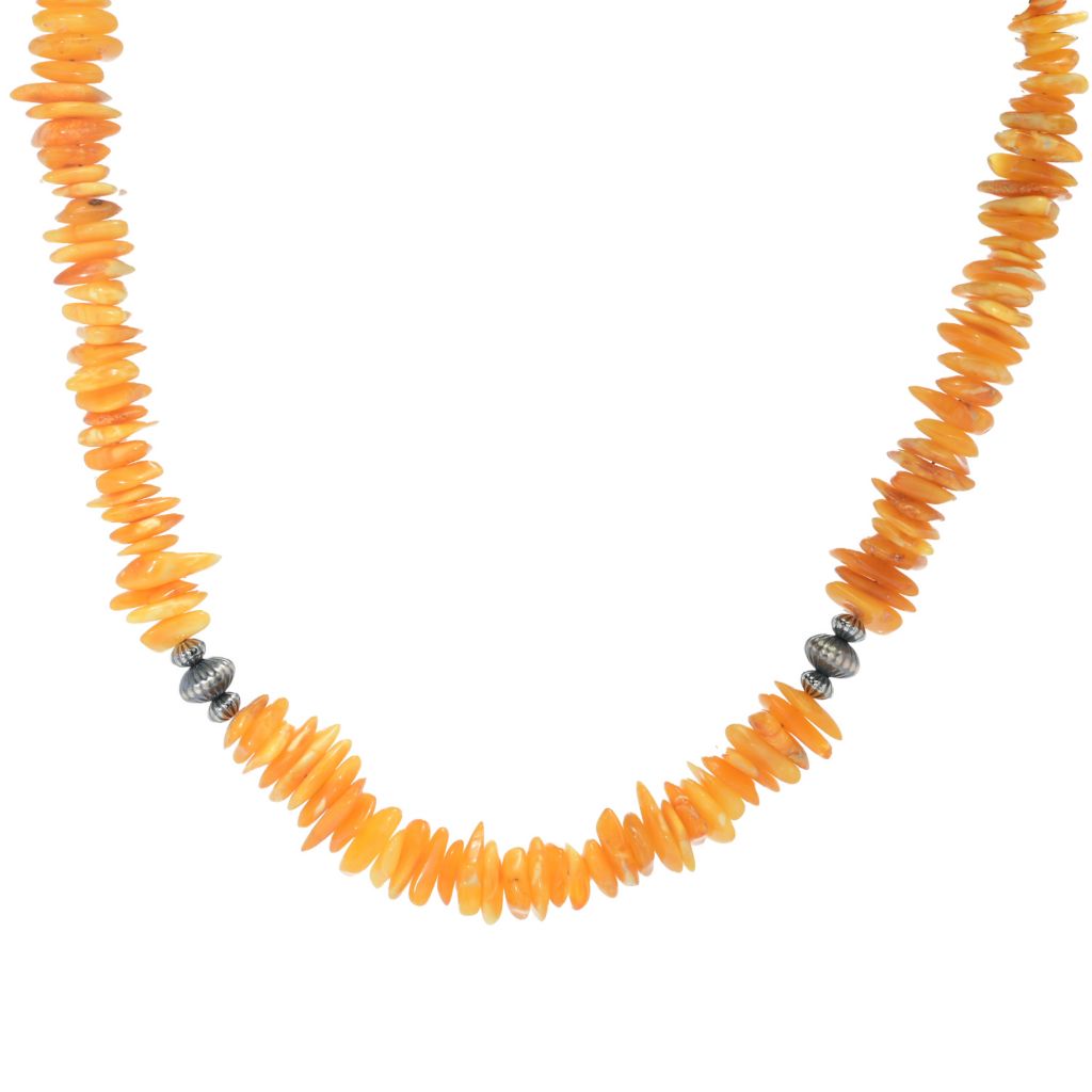 Southwest Elements Sterling Silver Yellow Amber Disc Rondelle Necklace by Steals
