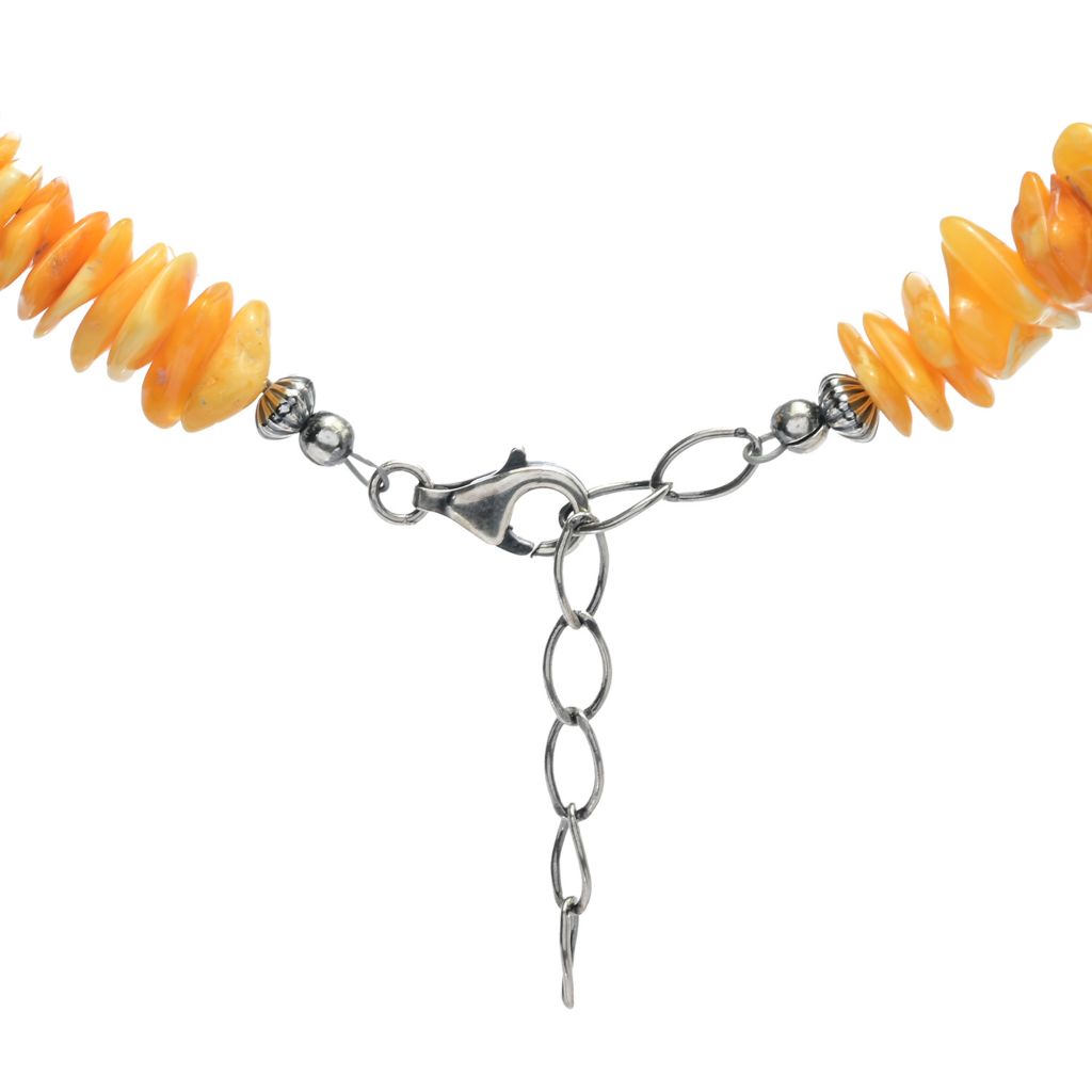 Southwest Elements Sterling Silver Yellow Amber Disc Rondelle Necklace by Steals