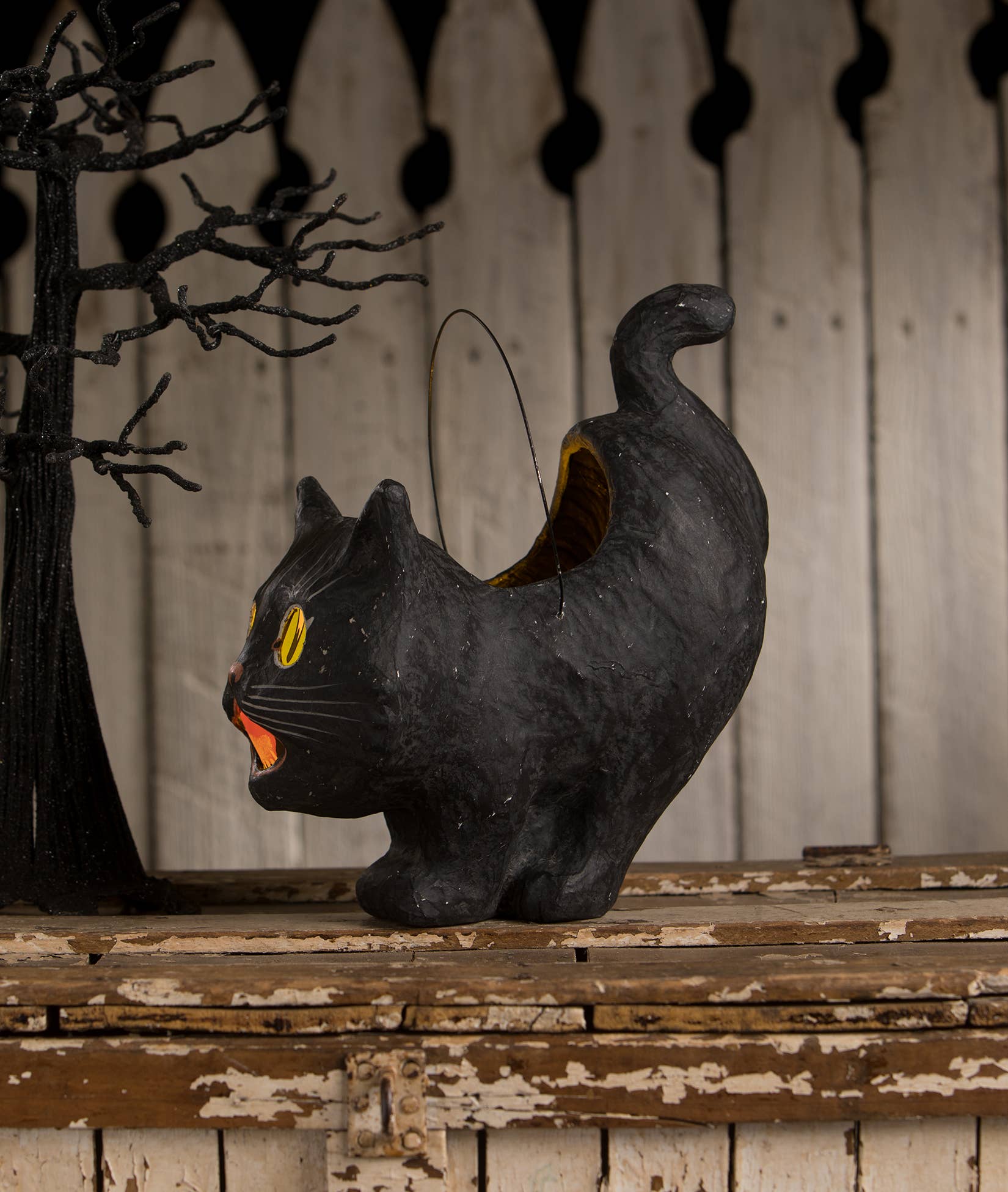 Scaredy Sassy Cat Bucket - LAST CHANCE!