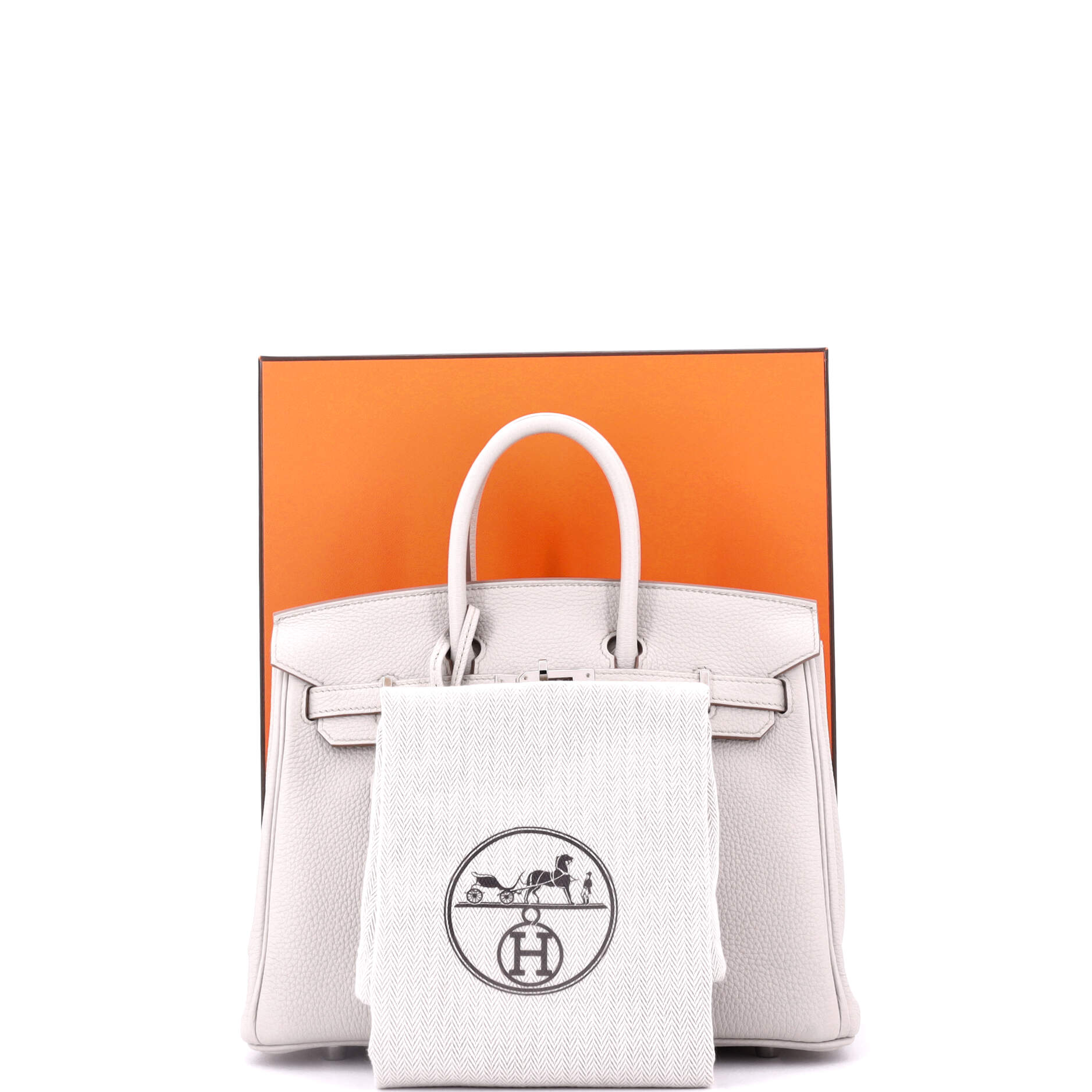 Hermes Birkin Handbag Light Togo with Palladium Hardware 25