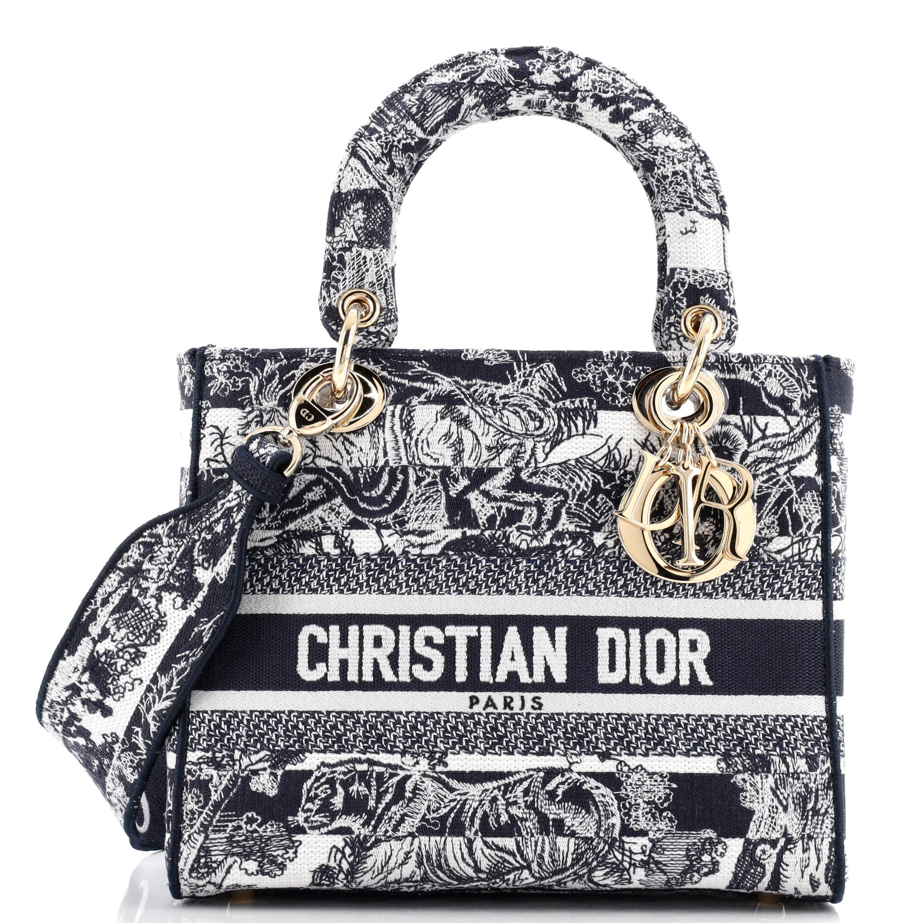Christian Dior Lady D-Lite Bag Embroidered Canvas Medium
