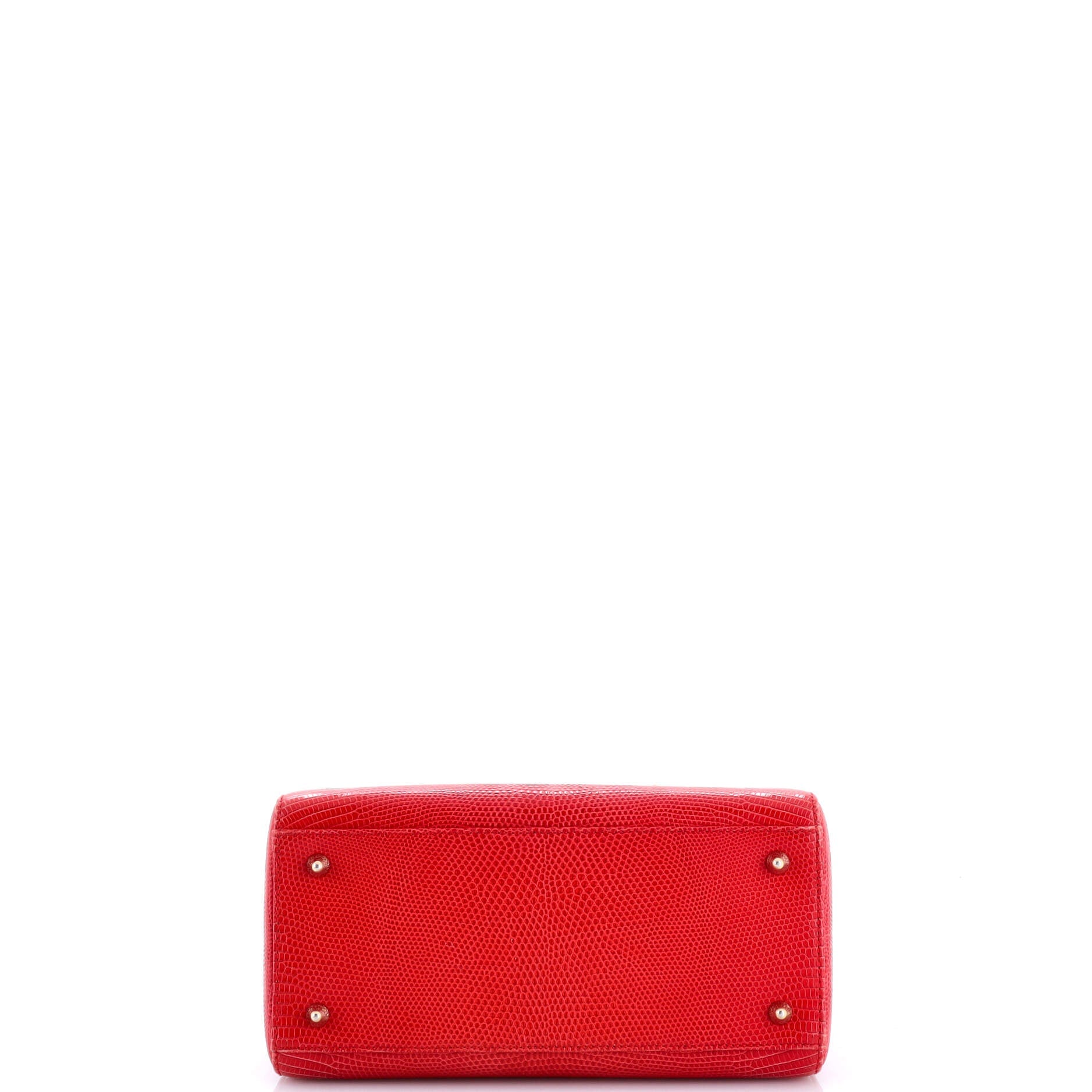 Christian Dior Lady Dior Bag Lizard Medium