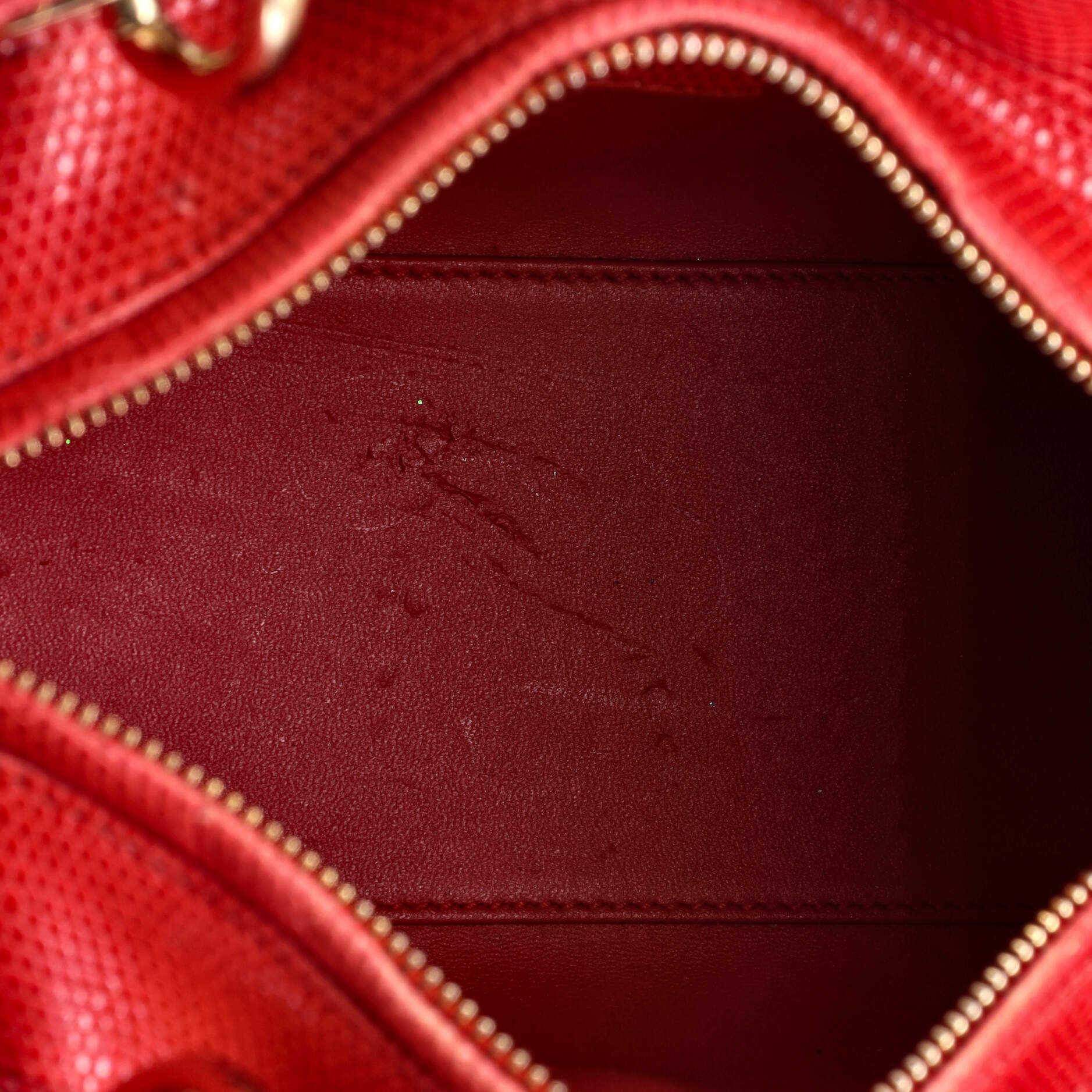 Christian Dior Lady Dior Bag Lizard Medium